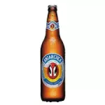 ANTARCTICA600ml