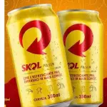 cerveja skol,brahma,antartica 350ml