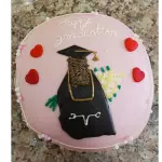 MOOD GRADUADA