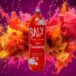 Baly Morango 2L