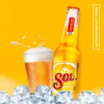 Sol long neck
