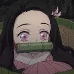 NEZUCO