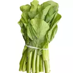 段打菜心 6.00