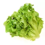 一包唐生菜 lechuga china