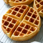 WAFFLE DE AVENA