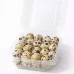 25 HUEVITOS DE CODORNIZ