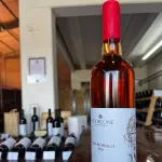 Bodegone - Rosé Merlot