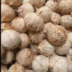 PIPA FRIA PELADA