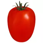 Tomate Italiano Médio