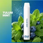 Big- Tulum Mint 🏝️🧊