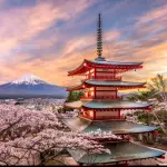Ilha Japão 16 peças