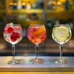 Gin Tonic