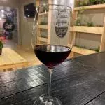 COPA DE VINO TINTO