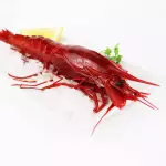 Carabineros