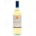 Pinot Gris