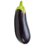 BERINJELA  ORGÂNICA