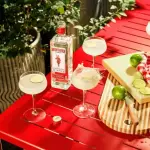 Dose de Gin Beefeater