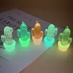 5 Cactus brillante al azar