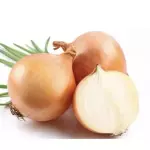 Cebola