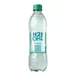 H20
