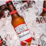 Budweiser