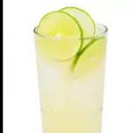 Citrica 16 Oz