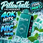 Pillow- Cool Mint 🧊🧊