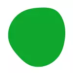 VERDE MANZANA /APPLE GREEN 🍏