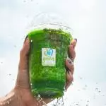 QUEMA GRASA - Smoothie