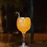 Gin Tangerina