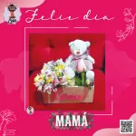 Box peluche