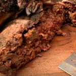 Montalayo (panza) 1/4 kg