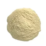 Goma Xantana - 50g
