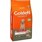 Golden filhotes Frango Grandes