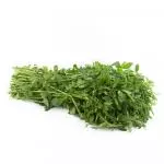 Alfalfa