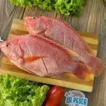 TILAPIA ROJA