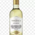 Tarapacá