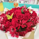 Ramo Medium Red