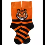 Tigre Tiger