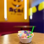 Pote 2 Bolas de Sorvete