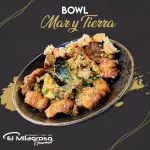 BOWL MAR Y TIERRA