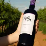 VINHO TEMPRANILO  SECO - RIO SOL