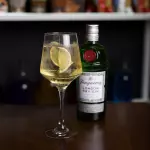 Gin con Gin