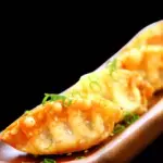 Gyozas de Pollo