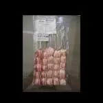 MEDALHÃO DE FRANGO COM QUEIJO