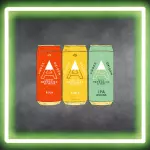 ANDES 473 ML (X12 LATAS)