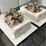 Bolo de corte
