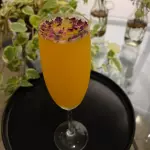 Rosa Mimosa