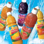 Bela Ischia Concentrado 1L