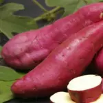Batata doce